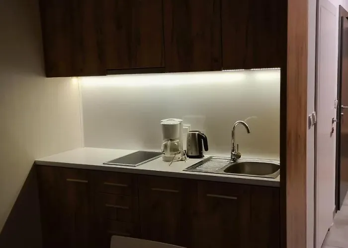 Czarna Gora 419 Apartment Sienna (Klodzko)